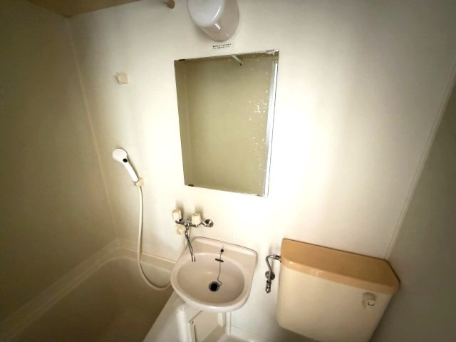 メゾンドルイの洗面所