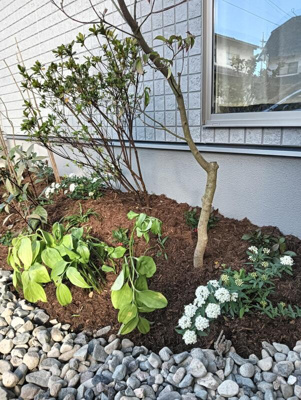 【庭】 | 岡山市中区関戸建
