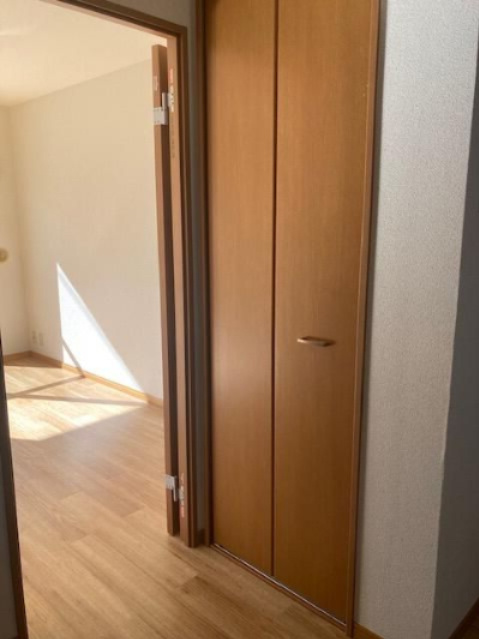 相模原市南区相模大野５丁目の賃貸マンションの収納