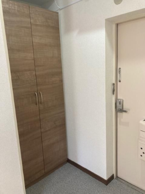 相模原市南区相模大野５丁目の賃貸マンションの玄関