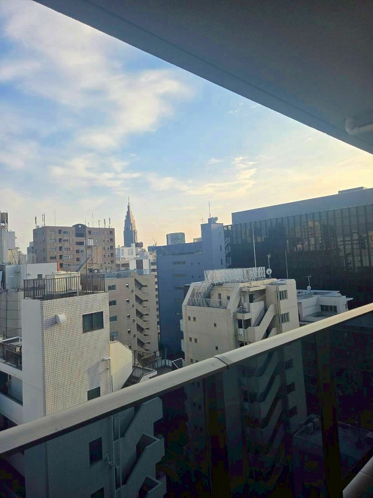 ミリアレジデンス新宿御苑の展望