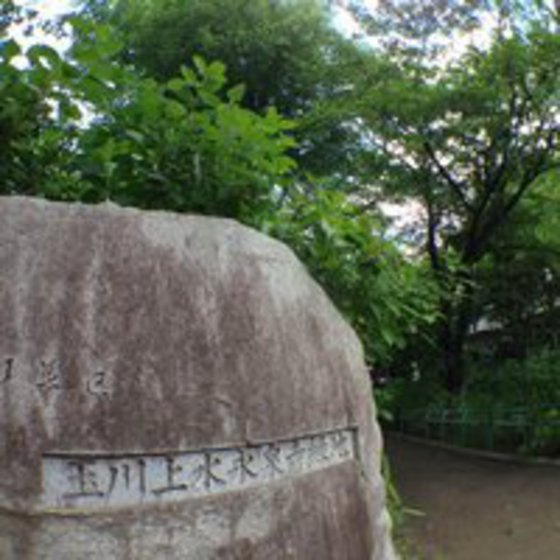 大島コーポラスの周辺|公園「玉川上水永泉寺緑地まで496ｍ」