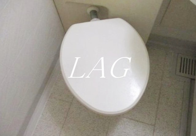 【トイレ】 | ライオンズシティ蕨 | トイレです。