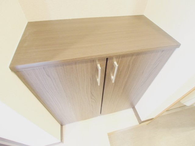 安芸郡府中町大通２丁目の賃貸マンションの玄関