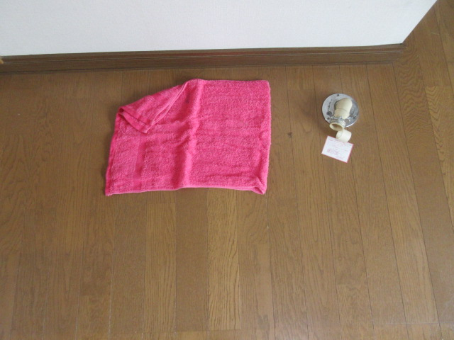 ひまわり荘Ⅱのその他