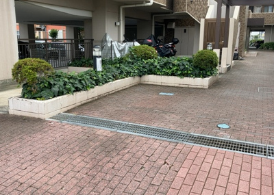 【庭】 | ダイアパレス相模原中央 | 敷地内の植栽は緑豊かで、落ち着いた雰囲気を醸し出しています。周辺は閑静な住宅街となっており、四季折々の自然を感じながら穏やかな生活を送ることができます。環境の良さをぜひ現地でご体感ください。