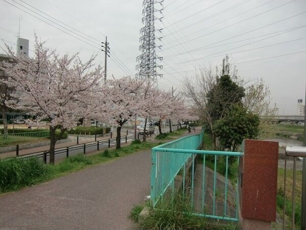 キャッスルメイ植田の周辺