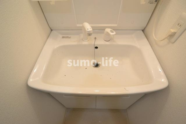 聚楽荘立花の洗面所