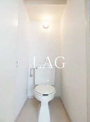 【トイレ】 | ＤＳマンション | トイレです。