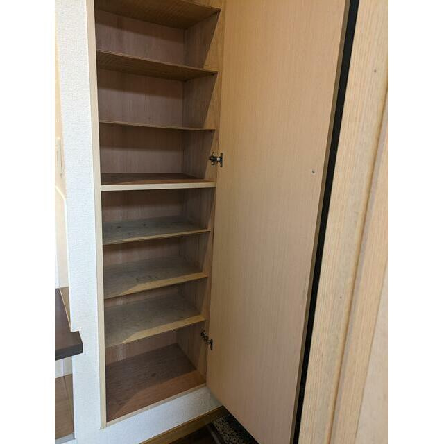サウスヴィレッジの収納