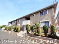 ソラーレつくばBの画像