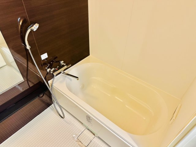 エクレシオ正木の浴室