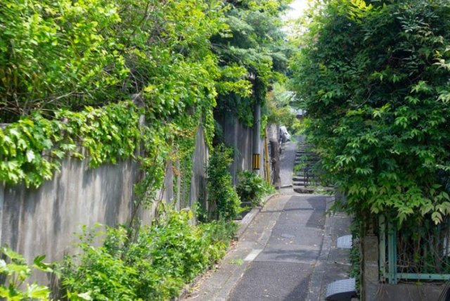 吉田下大路町の周辺