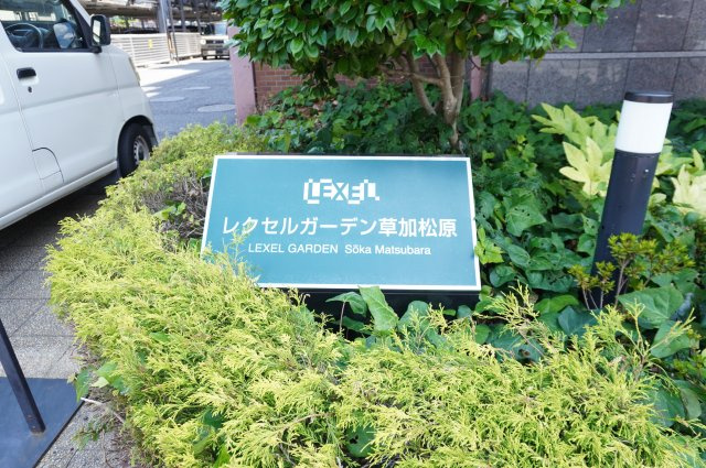 レクセルガーデン草加松原の庭