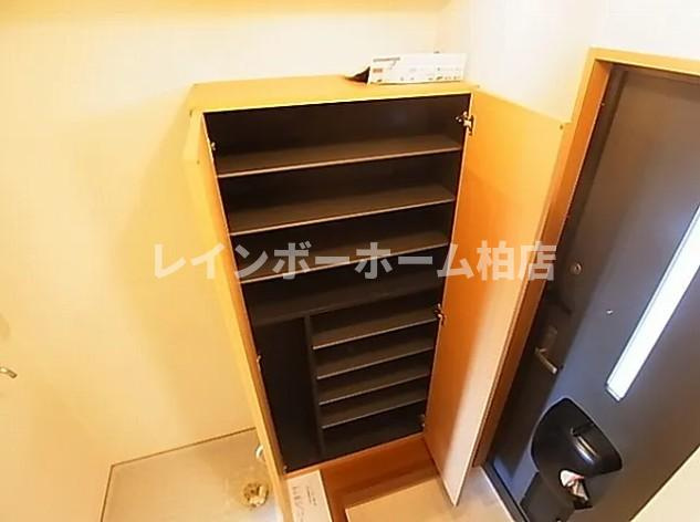 特典：仲介手数料が無料です!!の収納|玄関のシューズボックスです