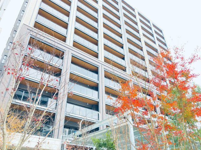 福岡市南区大橋１丁目の賃貸マンション