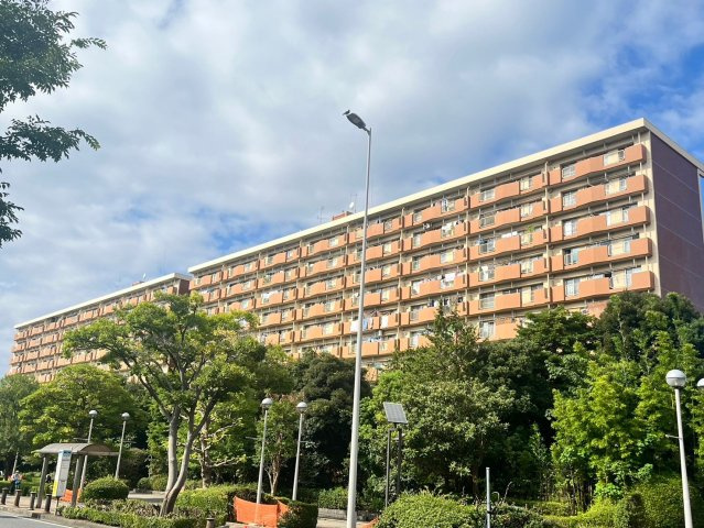の-の画像