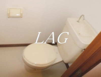 【トイレ】 | ベルメゾン亀戸 | トイレです。