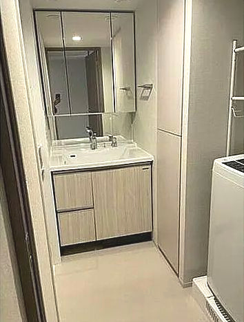 名古屋市中区丸の内２丁目の賃貸マンションの洗面所