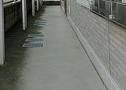 北足立郡伊奈町内宿台１丁目のアパートのロビー