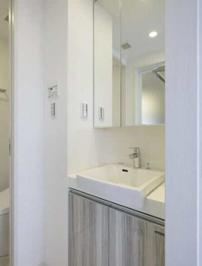 B CITY APARTMENT SUGINAMI TAKAIDOの洗面所