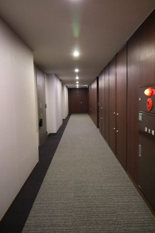 ホテルライクな内廊下。壁には木目調クロス。床はカーペットを採用し、落ち着いた空間を演出。全フロア空調完備で夏も冬も快適、雨風もしのげます。照明にはLEDを採用。