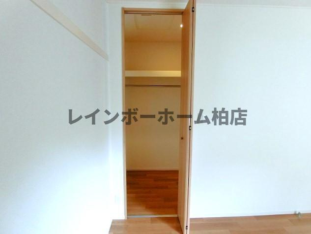 【仲介手数料：50％OFF】対象物件！の収納|こまごまとしたものを収納できそうですね