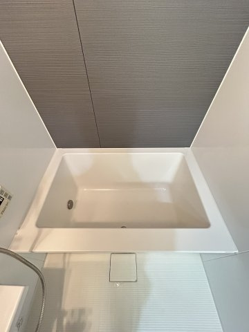 ボーベル南船場の浴室