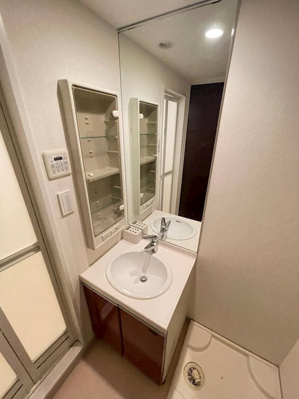 S-RESIDENCE Hommachi Marksの洗面所