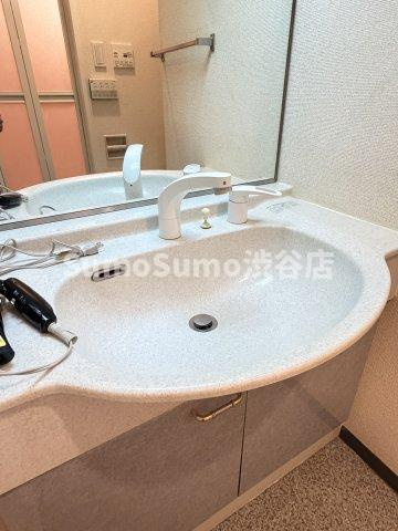 トーシンフェニックス下目黒の独立洗面台|独立洗面台あり、毎朝おしゃれに忙しい女性の方におすすめです