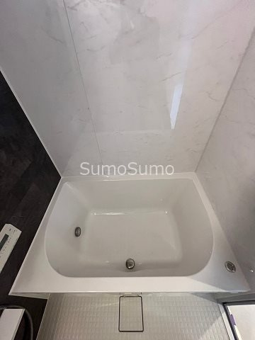 ルフォンプログレ堺筋本町タワーレジデンスの浴室