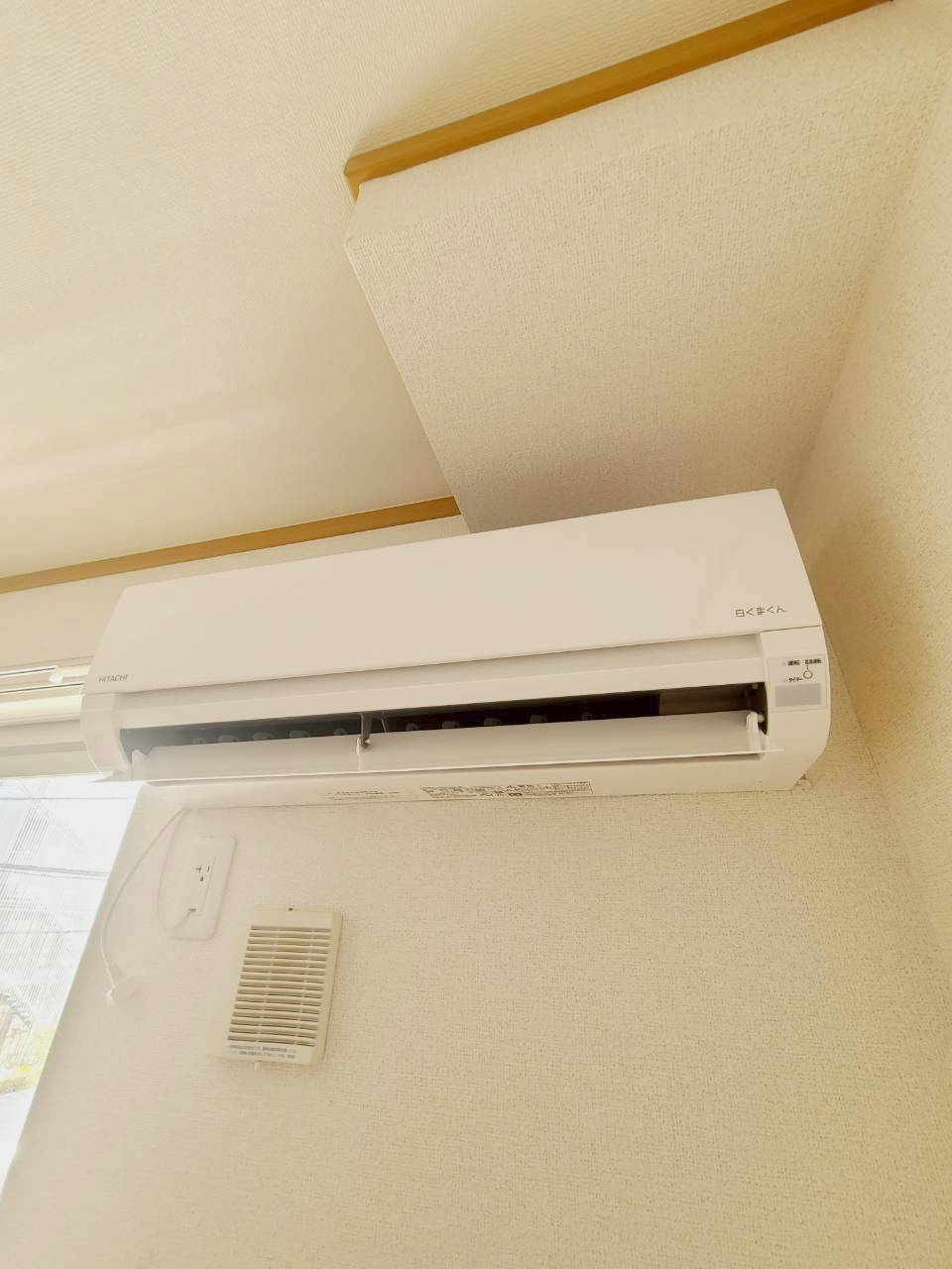 プラシードIのその他