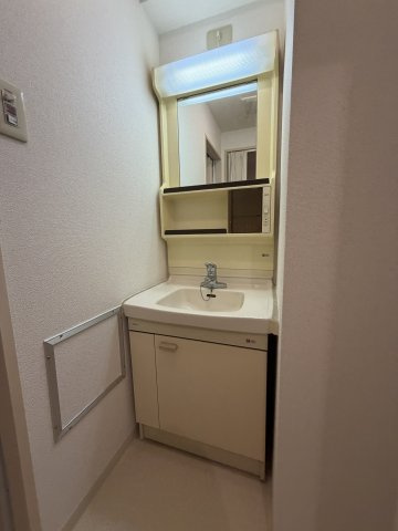 プラターヌの独立洗面台|独立洗面台あり、毎朝おしゃれに忙しい女性の方におすすめです