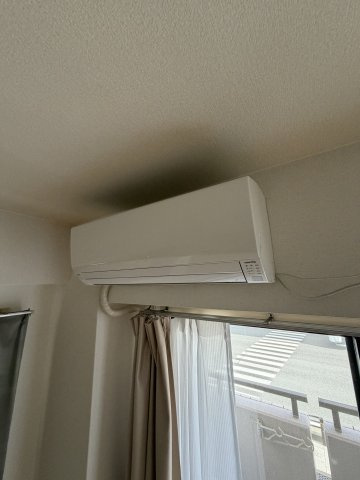 プラターヌのセキュリティ