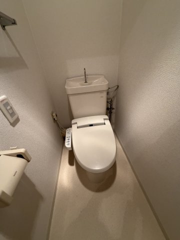 プラターヌのトイレ|落ち着いた色調のトイレです