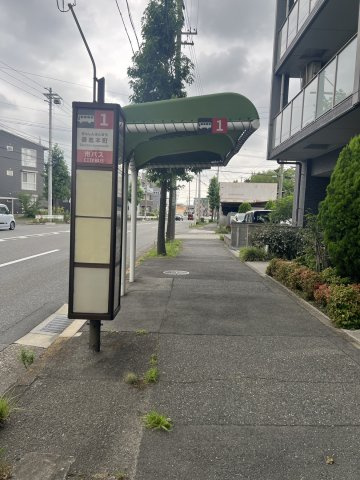 クレセントマンションの周辺