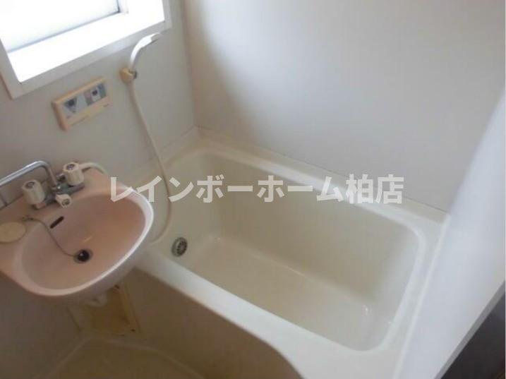 特典：仲介手数料が無料です!!の洗面所|洗面台です