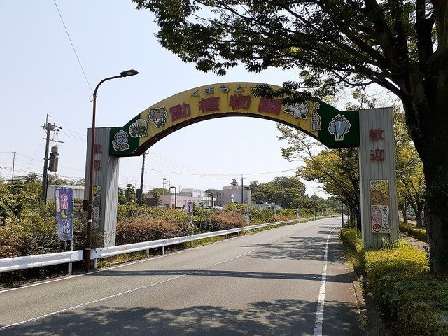 フェリーチェ　２１の周辺|熊本市動植物園まで350m