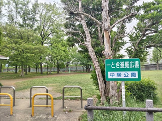 公園