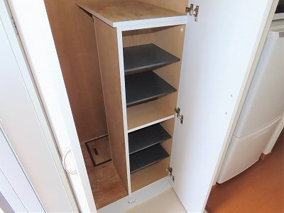 レオパレス満の玄関|シューズボックスあり
