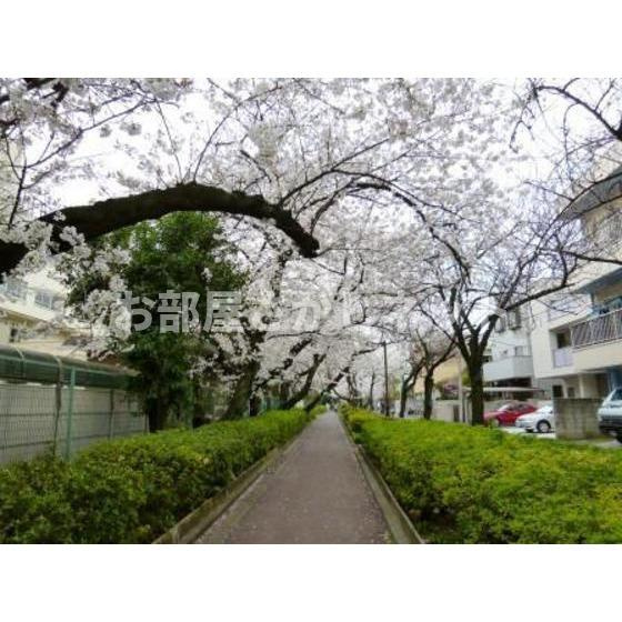 ＰＲＥＳＥＮＴ・晴の周辺|公園「蛇崩川緑道まで196ｍ」