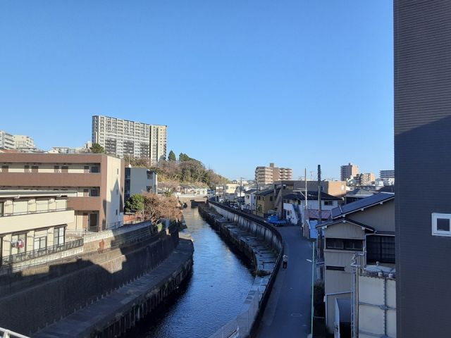 ミモザ・コートの展望