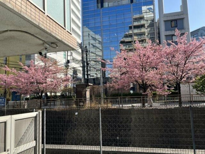 【展望】 | ユニーブル恵比寿