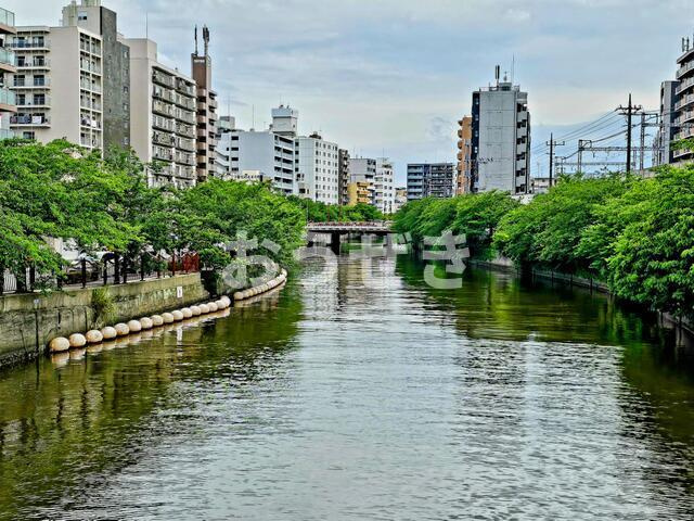 ライオンズマンション野毛山公園南の展望