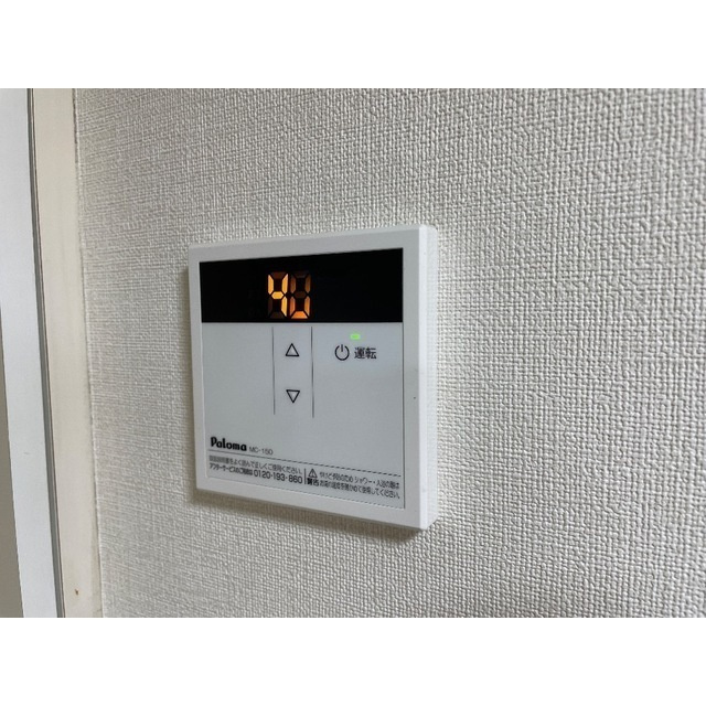 シティパレスのその他