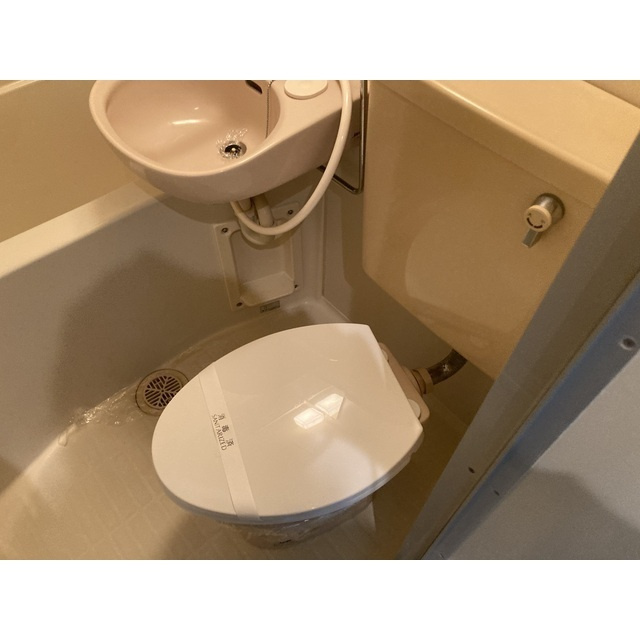 ブラウン第3のトイレ|トイレも気になるポイント