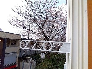 レオパレスボーリユトトロのその他