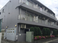エバーグリーンの画像
