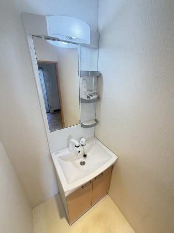 グリーンマンションの洗面所