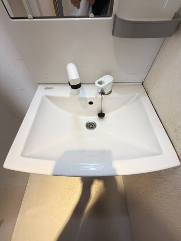 グリーンマンションの洗面所